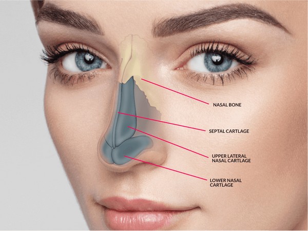 Let your face smile with rhinoplasty surgery